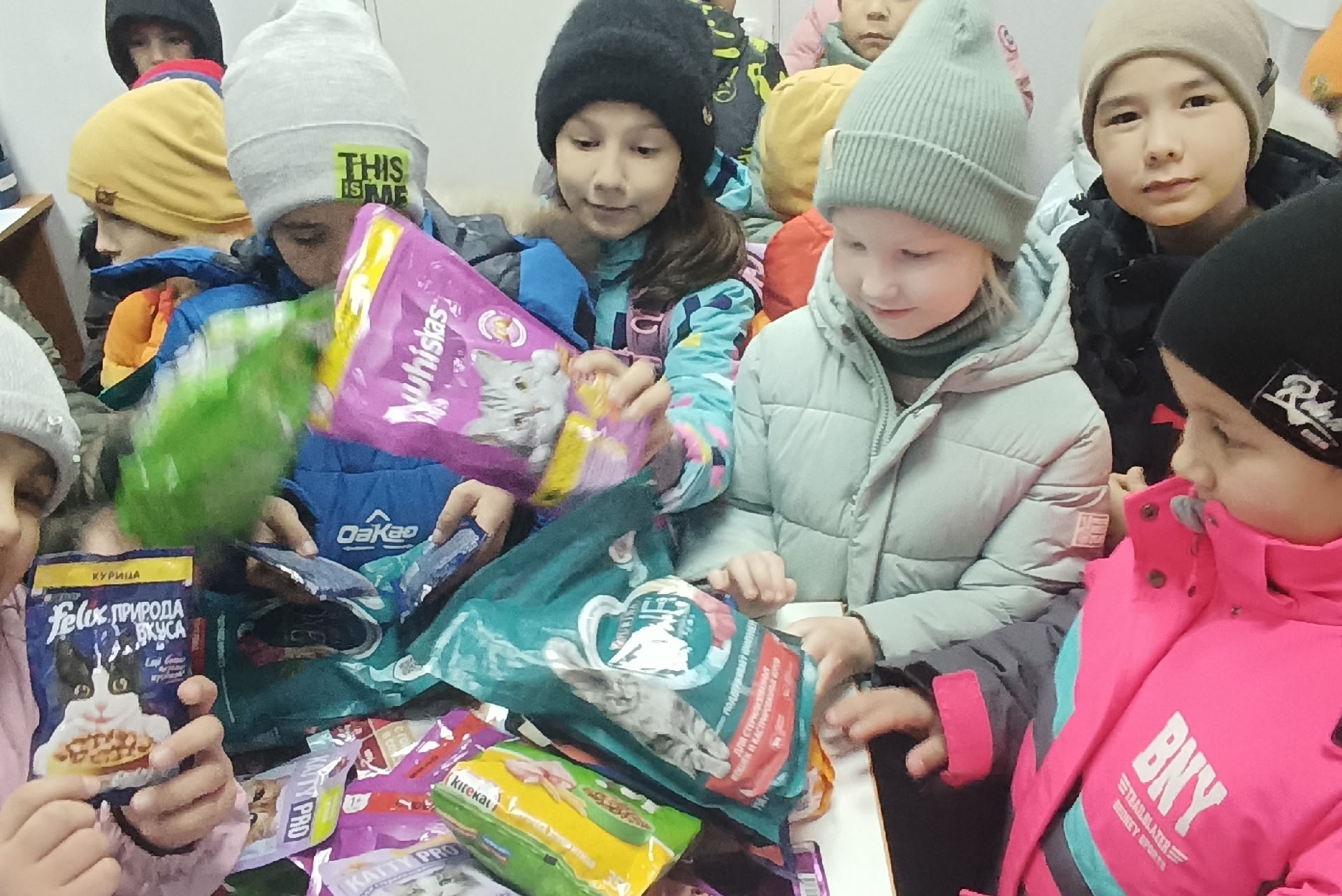 Большая помощь-маленькому другу